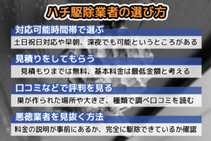 ハチ駆除業者　選び方